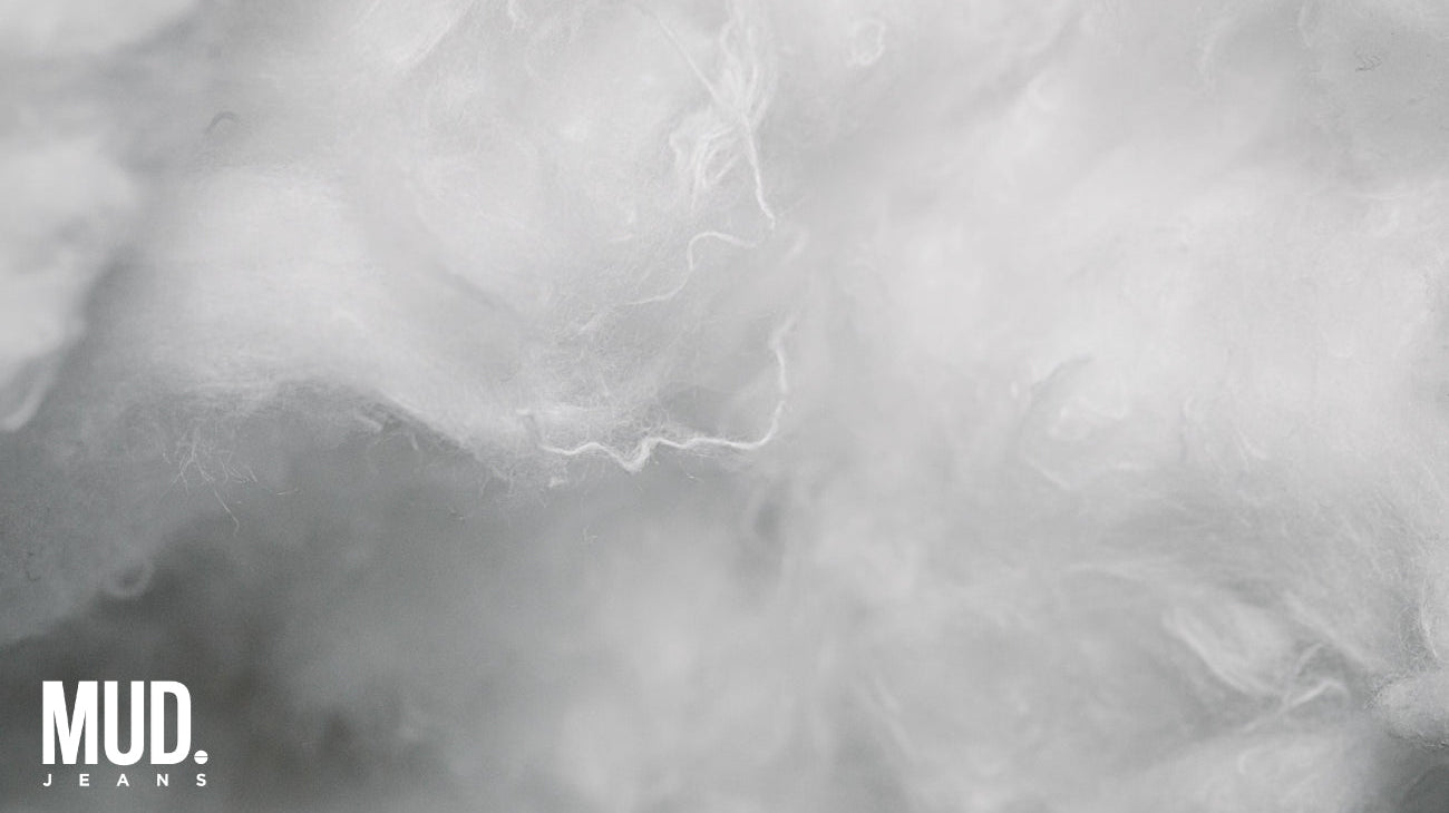 MUD Jeans: First Denim Brand to Earn the TESTEX Circularity Label